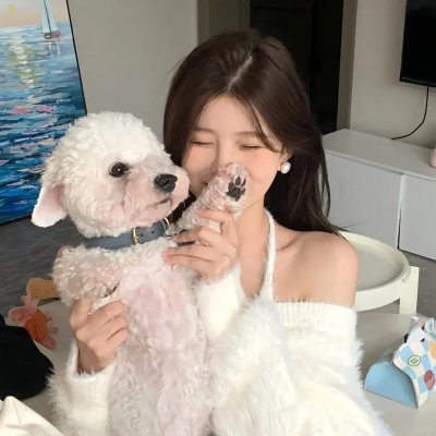 动物方城市2
