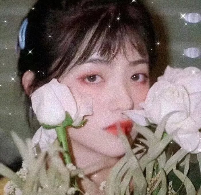 小丑国语